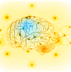 Multiple Sclerosis Clinical Fellowship