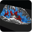 Multiple Sclerosis Clinical Fellowship